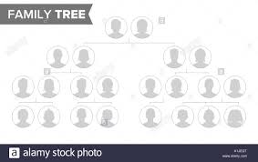 Genealogical Tree Template Vector Family History Tree With