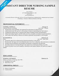 Assistant Director Nursing Resume Template Resumecompanion