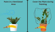 does-acrylic-paint-harm-plants