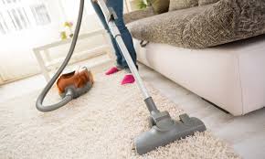 hire expert carpet cleaners and stay