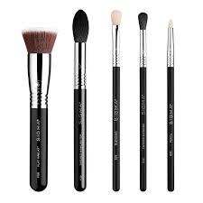 most wanted brush set ecosmetics all
