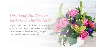 This preserves more of the color. How Long Do Flowers Last Comprehensive Guide Ode A La Rose