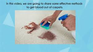 how to get blood out of carpet bond