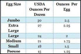 Image Result For Egg Size Chart Selling Eggs Chickens