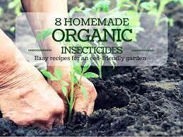 recipes for homemade organic pesticides