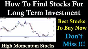term investment stock market