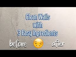 Wall Cleaning Diy Wall Cleaner