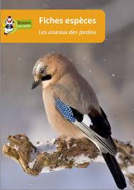 Texte du lien vers la page. P Style Color 007525 B Observatoire Oiseaux Des Jardins B P Www Faune Anjou Org