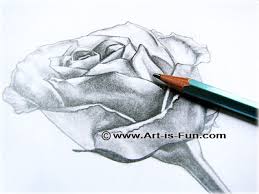 Browse more other beautiful drawings of roses, beautiful drawings of flower, beautiful drawings of flower pots, beautiful drawings of flower vase, beautiful drawings of hearts and roses, beautiful drawings of roses, beautiful pencil drawings of roses, pretty drawings of roses. How To Draw A Rose Learn To Draw Rose Pencil Drawings Art Is Fun