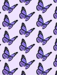 Aesthetic butterfly wallpaper desktop image information: Butterfly Purple Lavender Purplebutterfly Lavenderbutterfly Iphonebackground Aesthet Purple Wallpaper Iphone Purple Wallpaper Purple Butterfly Wallpaper