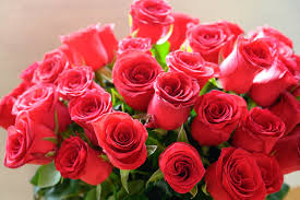 day flower delivery services in dallas