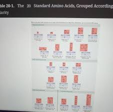 standard amino acids grouped chegg