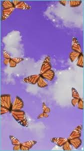 Aesthetic Wallpaper Butterfly ...