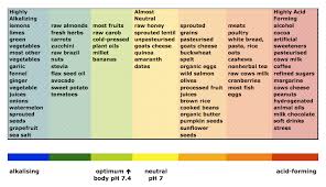 Alkaline Foods Chart New Age Gathering