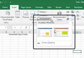 how to grab a screenshot in excel in 60