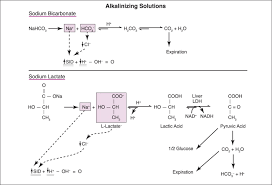 sodium bicarbonate an overview