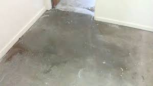 05 Common Water Leakage Seepages And