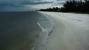 Red Tide Levels Jump In Southwest Florida The Weather Channel