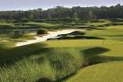 Review: With Ocean and Conservatory Courses, Hammock Beach has two ...