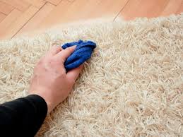 how to clean dog urine from wool rug