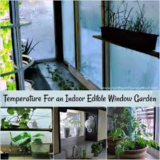 Temperature For An Indoor Edible Garden