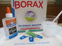 borax the kitchen pantry scientist