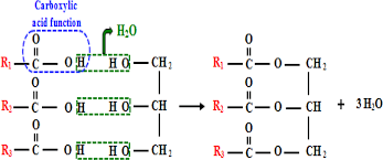 chemical structure of a vegetable oil