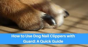 how to use dog nail clippers with guard
