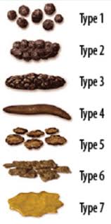 File Bristol Stool Scale Png Wikimedia Commons