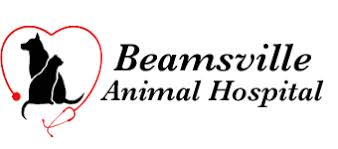 beamsville animal hospital