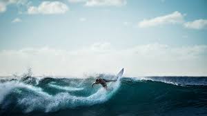 6 top surf doentaries for 2023