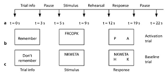 Flow Chart Of The Time Sequence S Of Presentation Of The