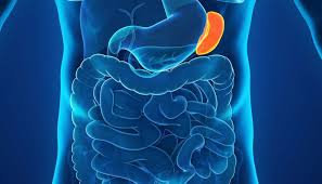 However, as you will see, depending on the cause of kidney pain, kidney disease and infections can according to the national kidney foundation, pain below the rib cage or on your sides could be coming from your kidneys. The Spleen Anatomy Function And Disease