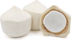 young coconut information and facts