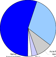 racial ethnic distribution of spanish