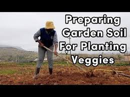 How To Prepare Soil For Planting In