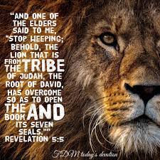 Faith Dimensions Ministries MK - •FDM today's devotion• REVELATION 5:5 “and  one of the elders said to me, “Stop weeping; behold, the Lion that is from  the tribe of Judah, the Root