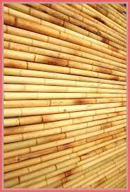 tropical home decor bamboo decor