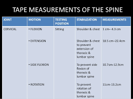 Range Of Motion Assessment