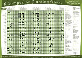 Companion Planting Chart Increases Vegetable Production