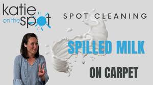 spot cleaning spilled milk on carpet