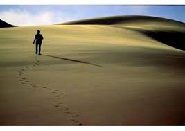 Una voz grita en el desierto: preparen el camino...