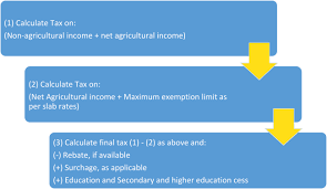 agricultural income tax calculation