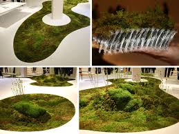 grow a living moss carpet in your home