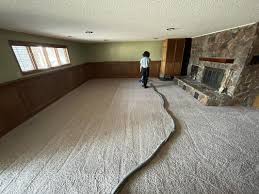 carpet cleaning bismarck carpet