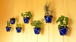 30 Phenomenal Indoor Herb Gardens