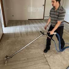 carpet cleaning near lamesa tx