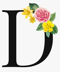 Webp is a new image format developed by google. Letter D Png With Flowers Transparent Png Kindpng