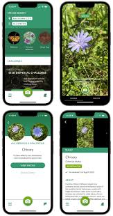 Iphone To Identify Plants Wildlife
