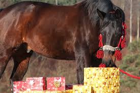 top 10 practical gifts horse owners